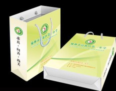 學校系列-3